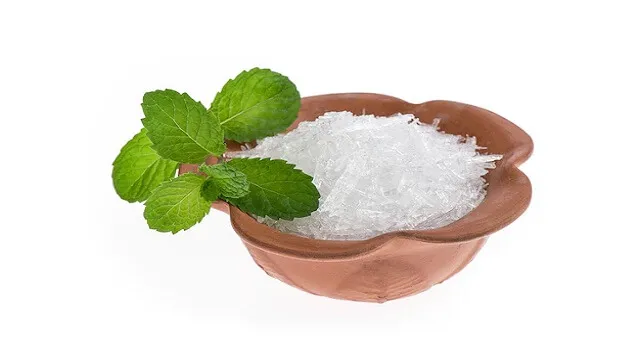 منتول