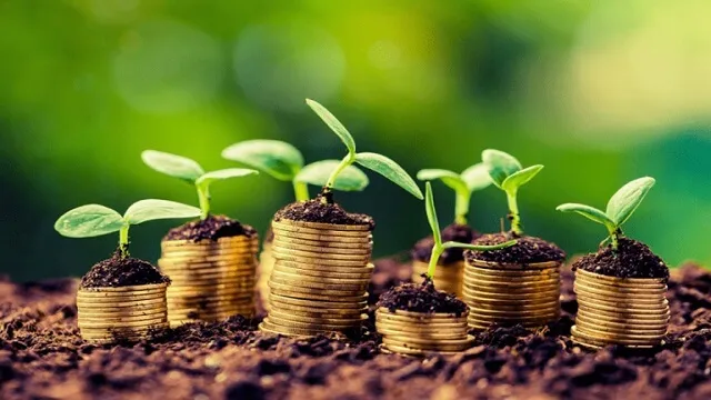 کاربرد آمونیوم پرسولفات در کشاورزی