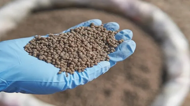 کاربرد دی آمونیوم فسفات به عنوان کود