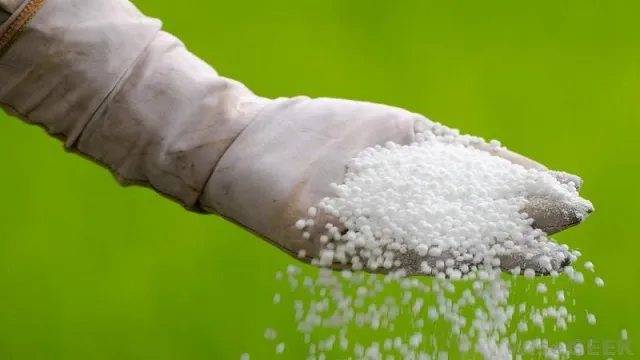 پخش اوره گرانوله با دست