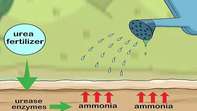 خیس کردن خاک قبل از افزودن اوره گرانوله