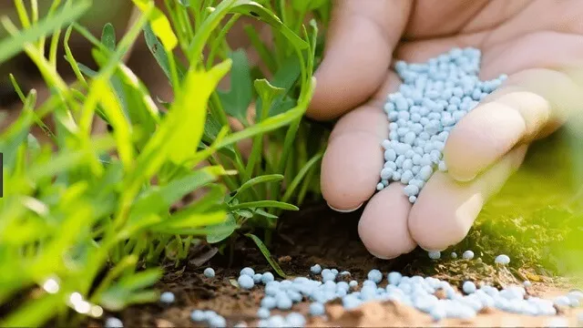 کاربرد اسید نیتریک در کشاورزی