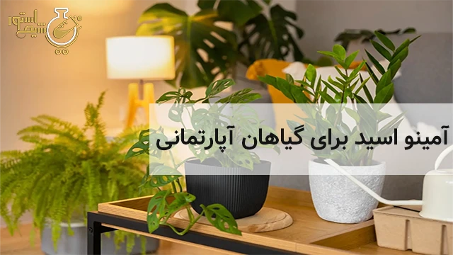 آمینو اسید برای گیاهان آپارتمانی