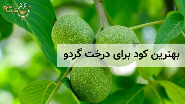 بهترین کود برای درخت گردو