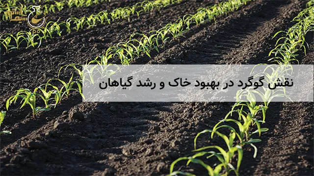 نقش گوگرد در بهبود خاک و رشد گیاهان