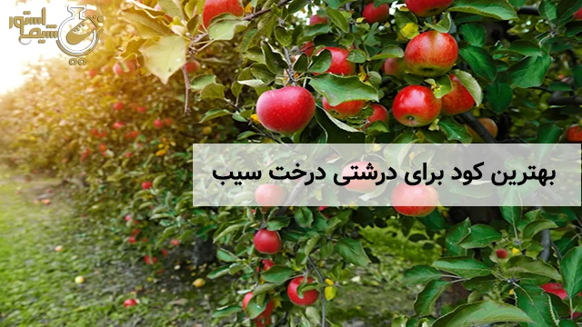 بهترین کود برای درشتی درخت سیب
