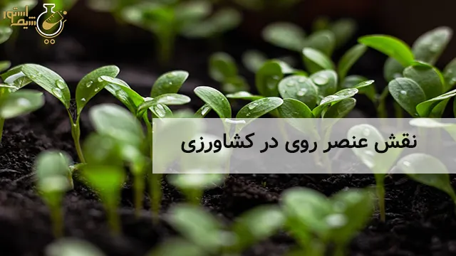 نقش عنصر روی در کشاورزی